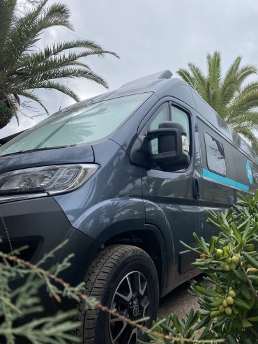 Stellplatz unter Palmen