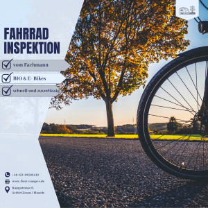 Fahrrad Inspektion